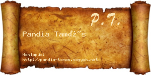 Pandia Tamás névjegykártya